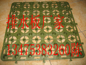 濟南排水板廠家解析 蓄排水板價格與建筑建材應(yīng)用